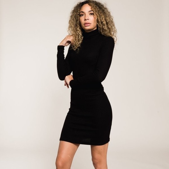 theory turtleneck dress